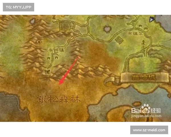 魔兽世界TBC：草药追寻，大地图揭秘